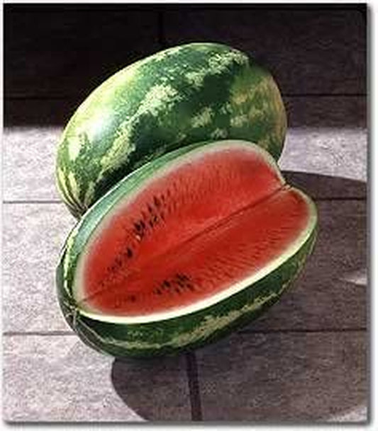 Watermelon Cal Sweet Great Heirloom Garden Vegetable Seeds by  (1,000 Seeds)