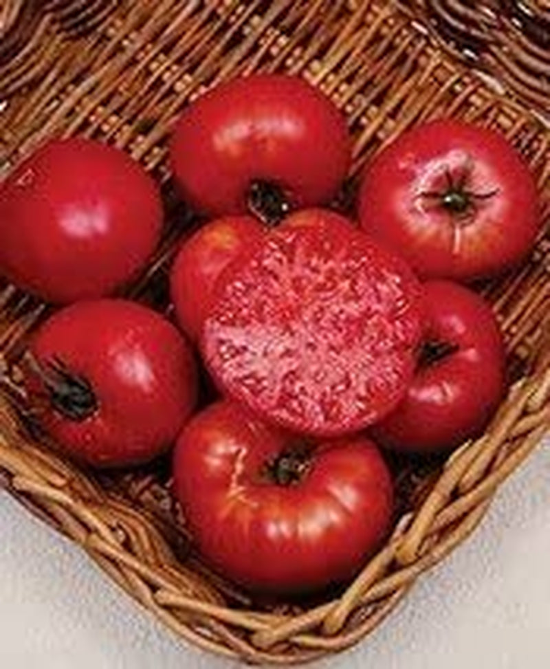 Tomato Mortgage Lifter Great Heirloom Garden Vegetable Seeds by  30 Seeds