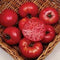 Tomato Mortgage Lifter Great Heirloom Garden Vegetable Seeds by  30 Seeds