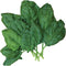 Bloomsdale Long Standing Spinach Seeds 1000 Seeds