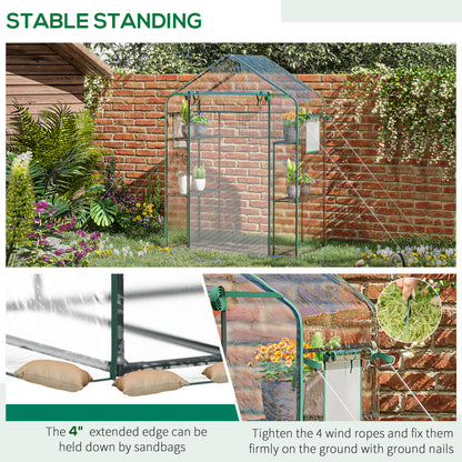 56" X 29" X 77" Small Walk-In Greenhouse W/3 Tier Shleves, Windows