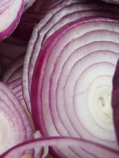 Onion RED Creole Great Heirloom Vegetable Seeds by  (5,000 Seeds)